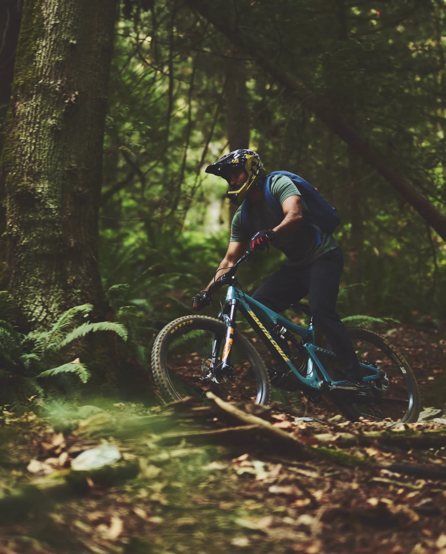 Mountain biking on a forest trail near Ironwood